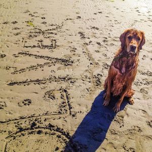 Meet your Posher, Alison